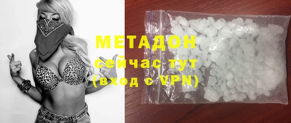 индика Абаза