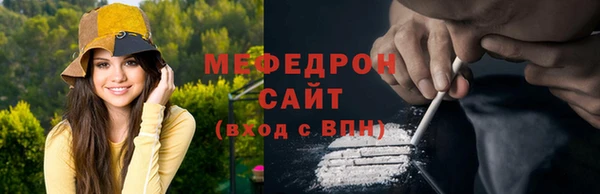 индика Абаза