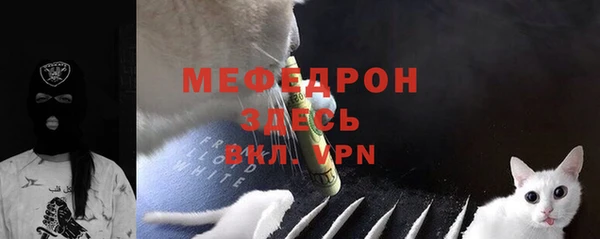 индика Абаза