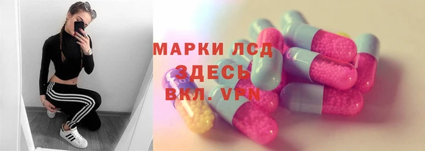 индика Абаза