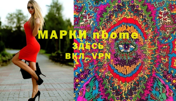 индика Абаза