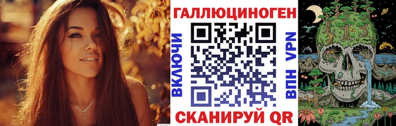 купить наркотик  Шенкурск  MEGA как войти  Псилоцибиновые грибы ЛСД 